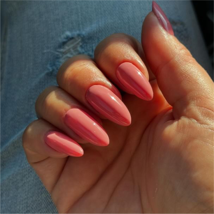 The Dual LED Flash™ SMART UV/LED lampe • The Gel Collection