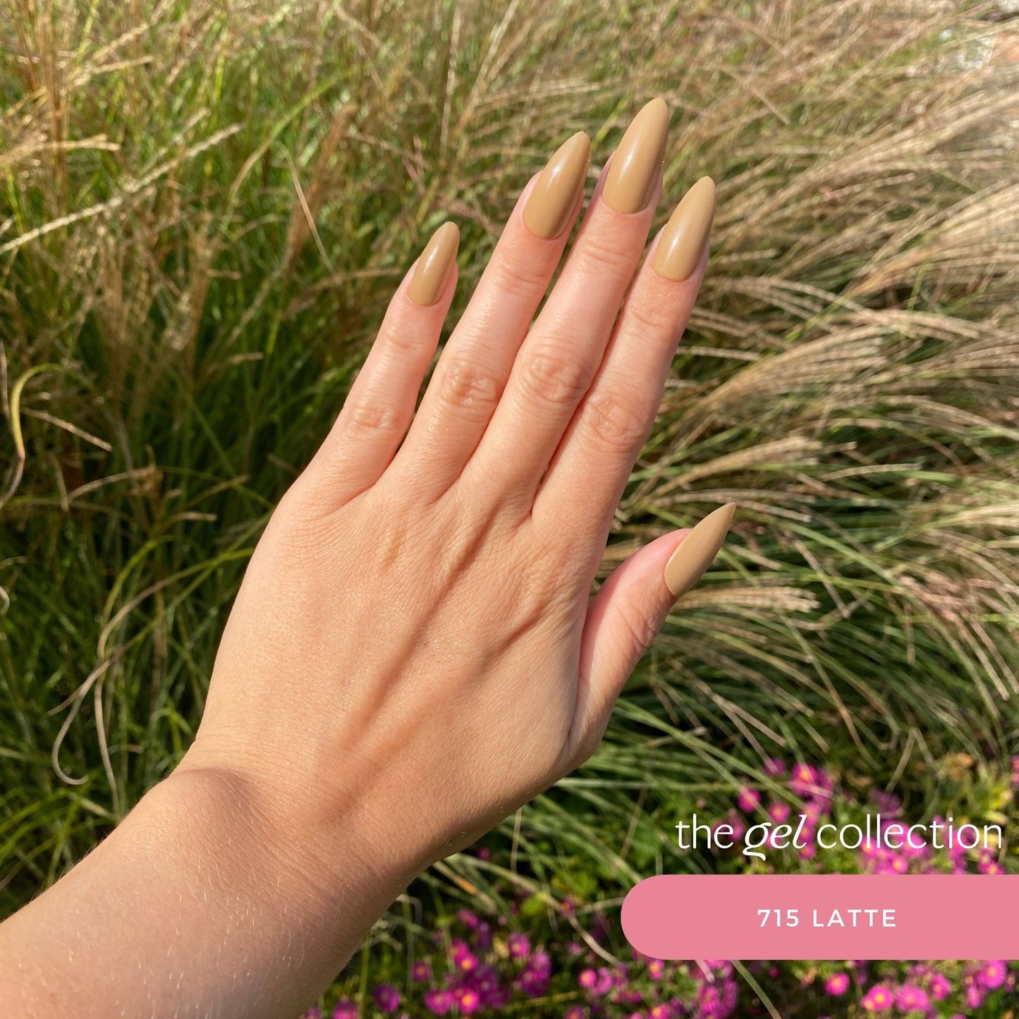 Gel Polish • 715 Latte • 21FREE