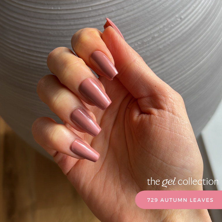 729 Autumn Leaves