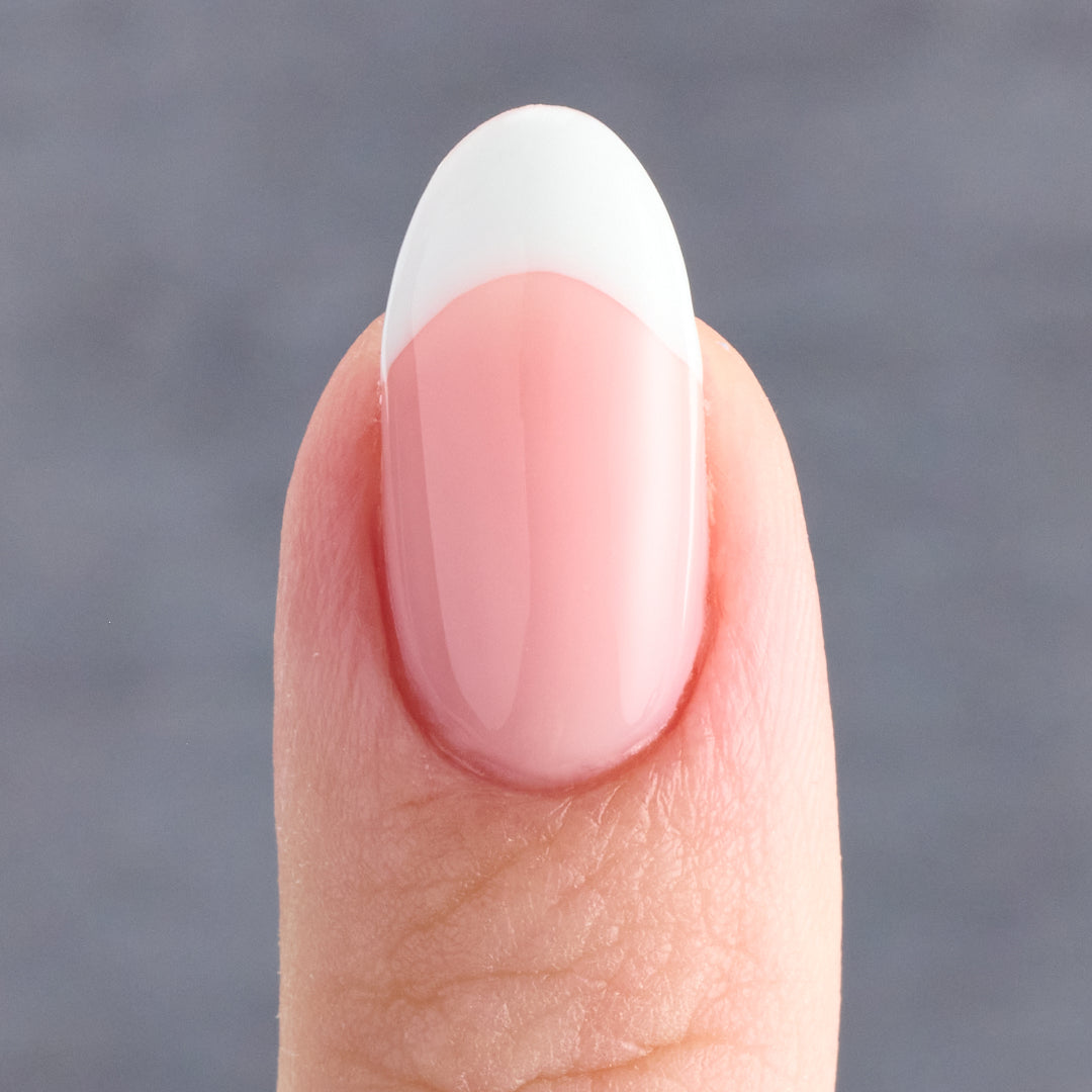 French Brush Premium • The Gel Collection