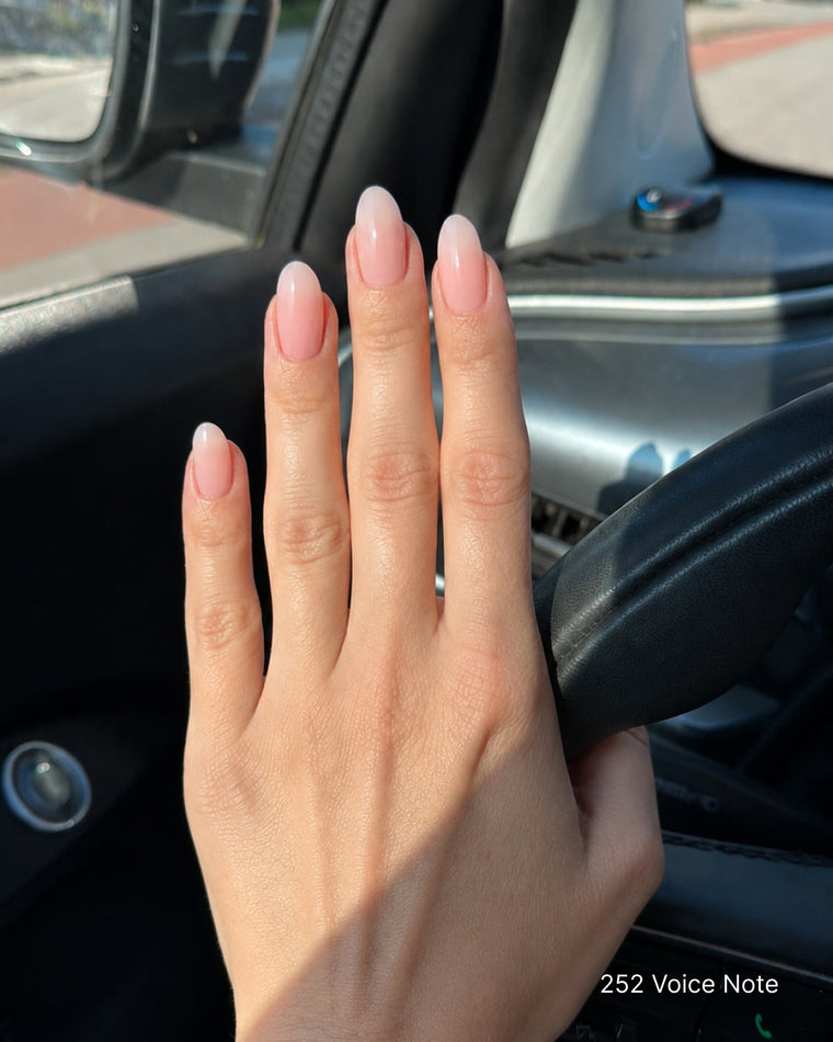 Babyboomer • The Gel Collection