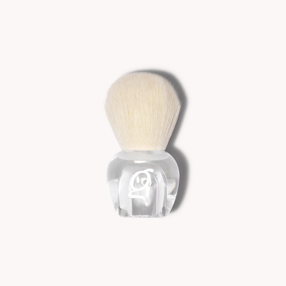 Dust Brush