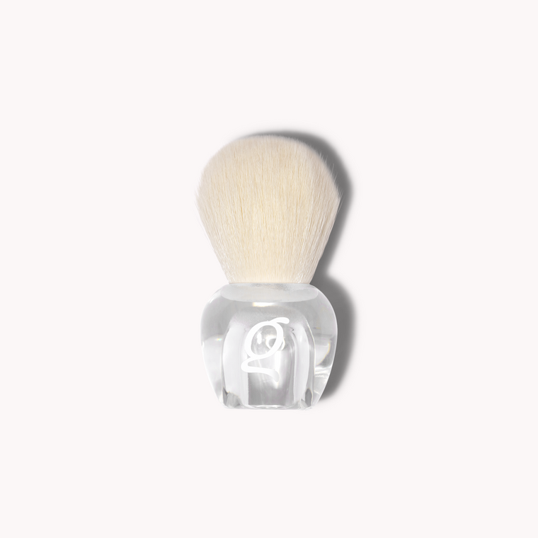 Dust Brush