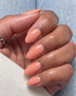 Gel Polish • 141 Now Or Never • 21FREE+