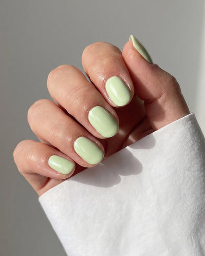Gel Polish • 228 Late Bloomer • 21FREE+