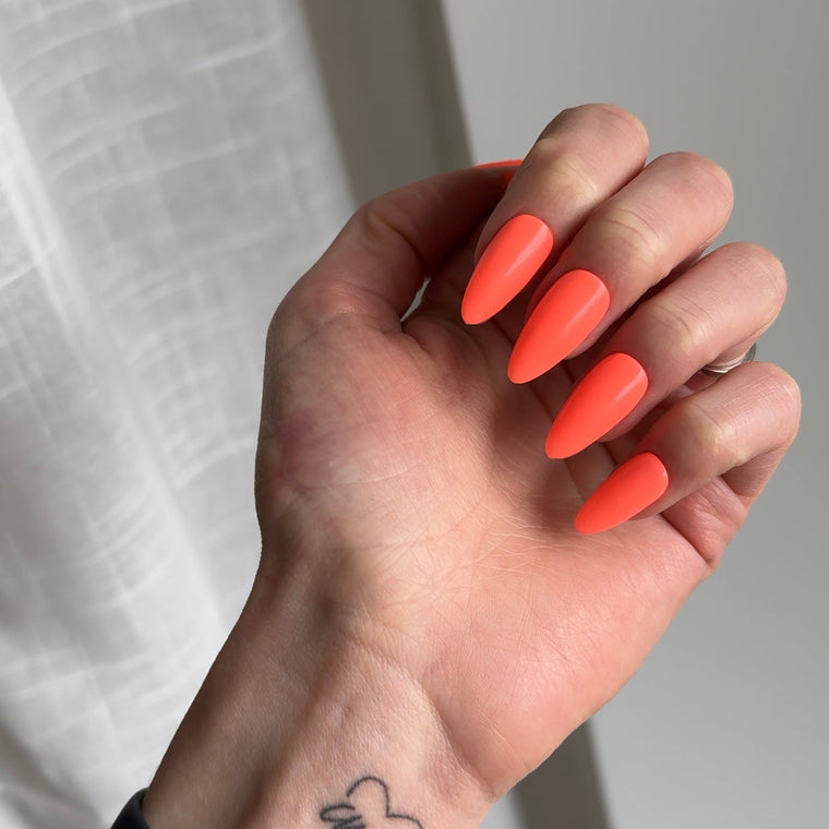 804 Tropical Glow