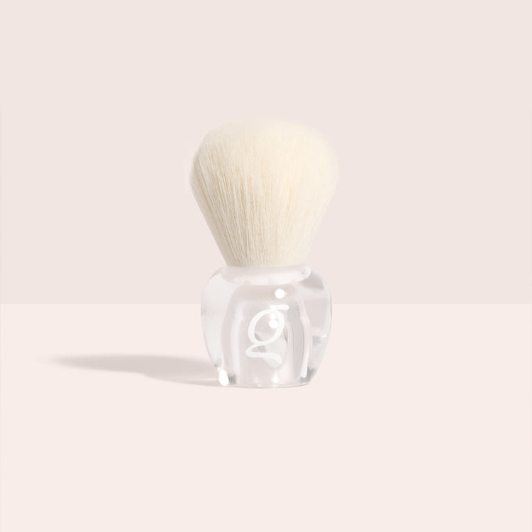 Dust Brush