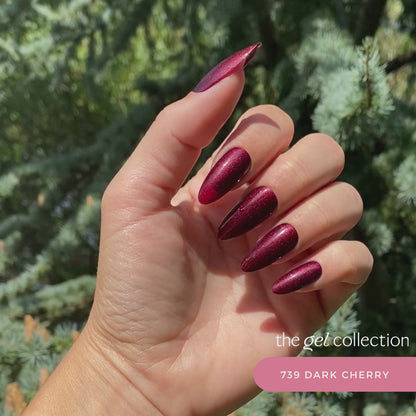 Gel Polish • 739 Dark Cherry • 21FREE • The Gel Collection™